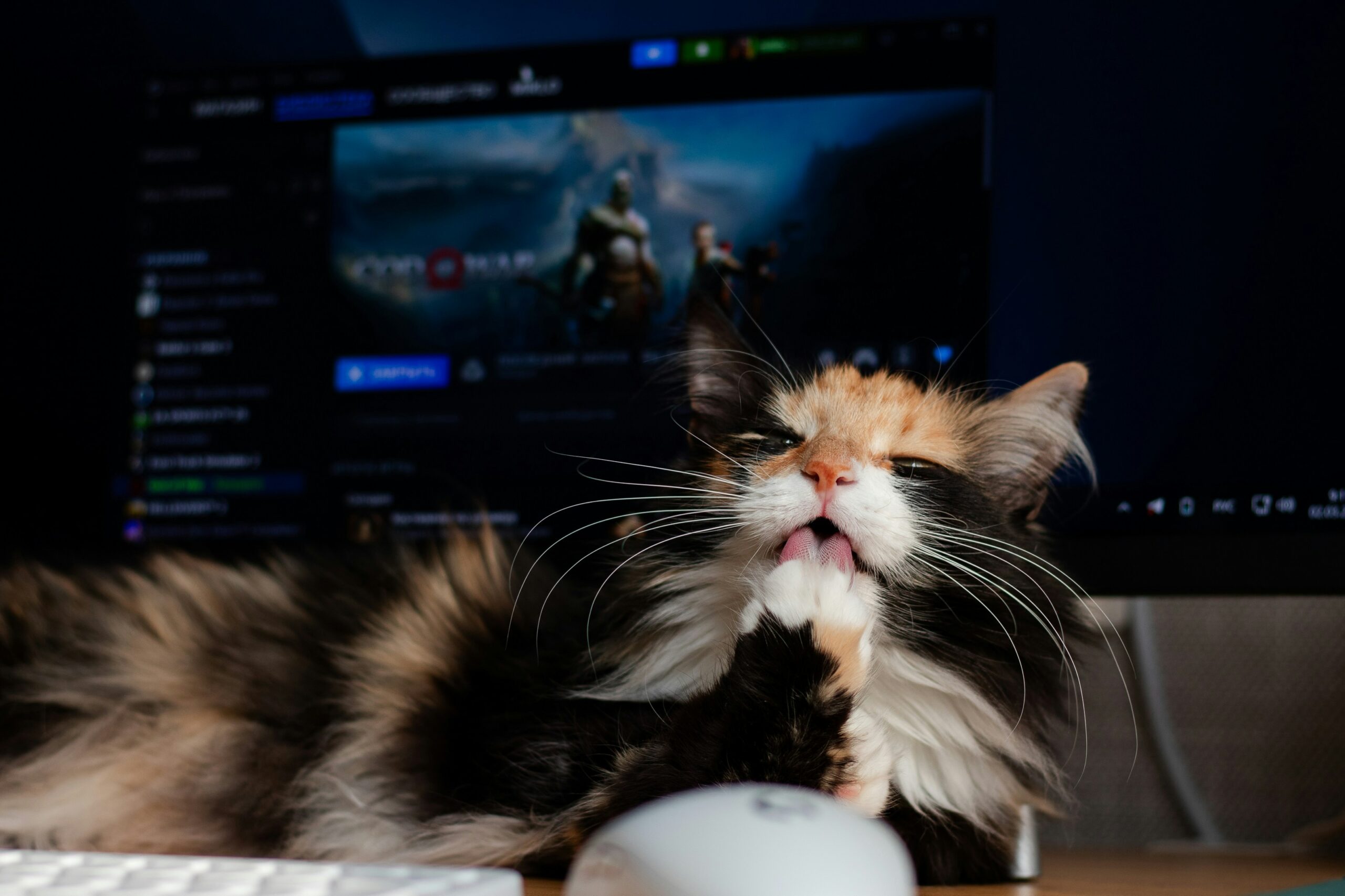 angry gamer yelling at computer screen - Сat gamer