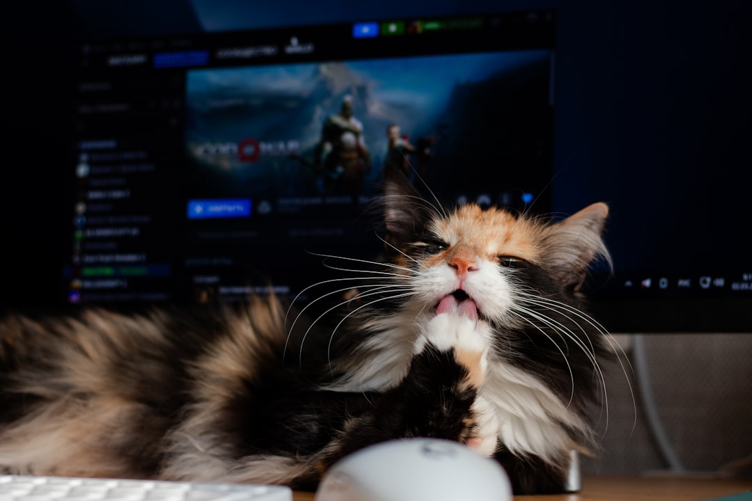 frustrated gamer looking at screen - Сat gamer