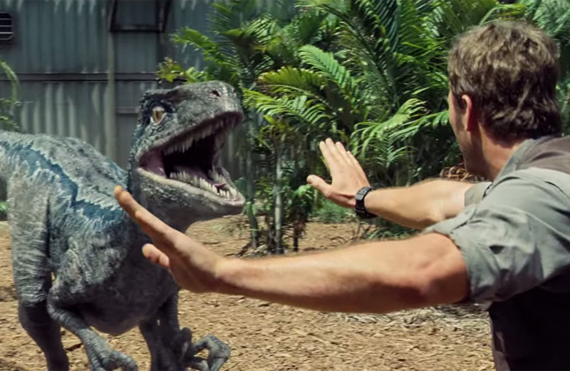 Taming a velociraptor - REVIEW: 'Jurassic World' revives franchise from fossilized amber ...